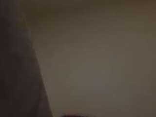lilladynice